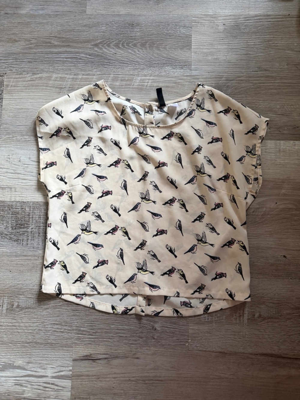 Divided Cream Bird-Print Cap Sleeve Blouse